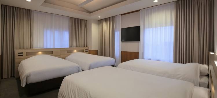 新板屋酒店(Hotel Newitaya)图片