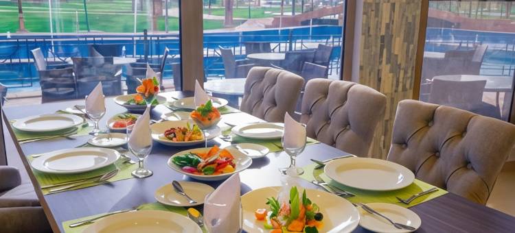 瑞士国际酒店别墅欧奈宰Al Qassim(Swiss Luxury Villas)图片