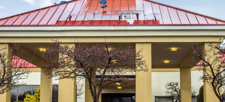 舒适酒店(Comfort Inn)图片