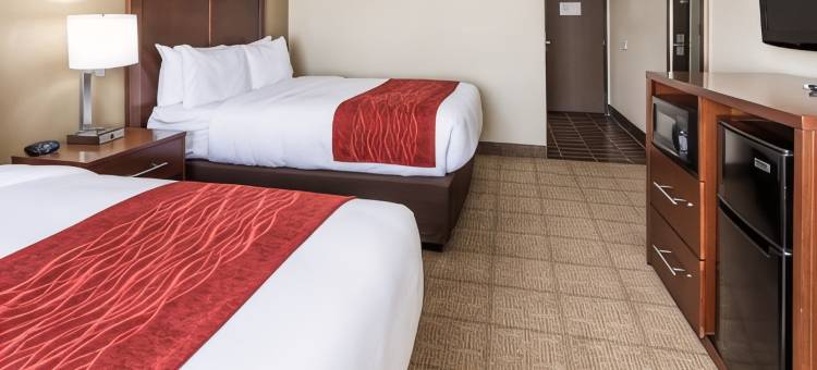 舒适酒店(Comfort Inn)图片