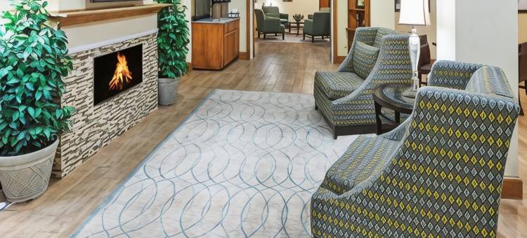 拉伯克丽怡酒店(Country Inn & Suites by Radisson, Lubbock, TX)图片