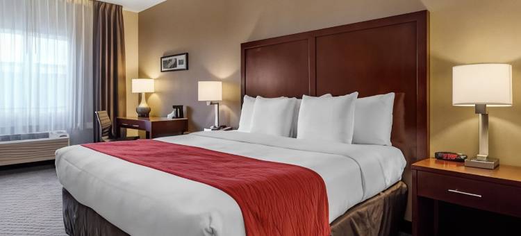 肯特-西雅图舒适酒店(Comfort Inn Kent - Seattle)图片