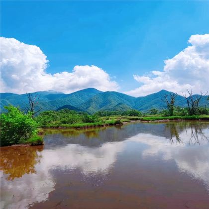 恩施市+宣恩+恩施大峡谷+神农架+武当山风景区+武汉黄鹤楼7日6晚跟团游