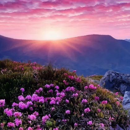 恩施市+神农架+武当山7日6晚私家团