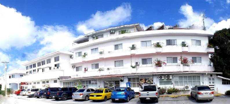 向日葵酒店(Himawari Hotel)图片