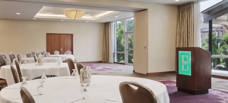 布法罗希尔顿安泊酒店(Embassy Suites by Hilton Buffalo)图片