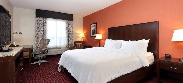 纽约州克利夫顿公园希尔顿花园酒店(Hilton Garden Inn Clifton Park)图片