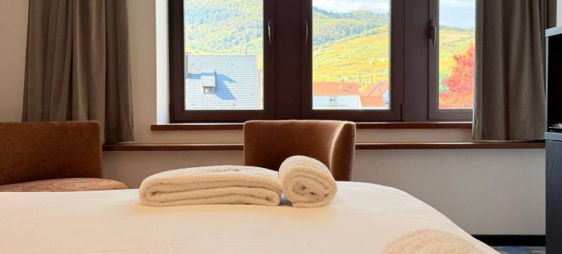 R城堡(Chateau R)图片