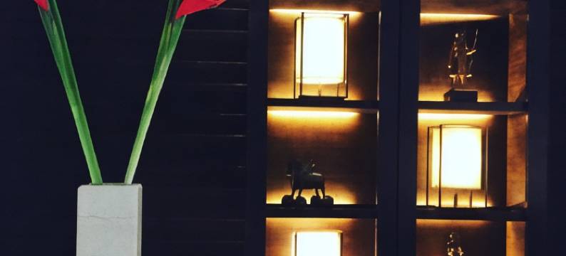 提瑞迪特酒店(Trident, Agra)图片