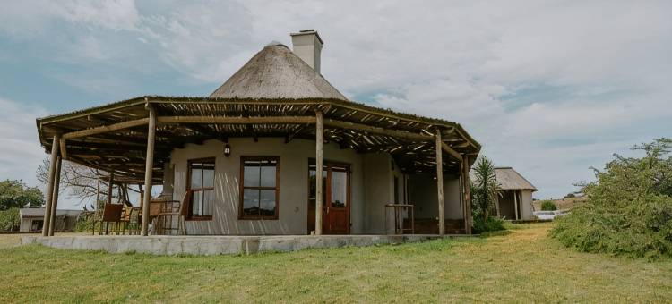 何洛西娱乐旅馆(Hlosi Game Lodge - Amakhala Game Reserve)图片