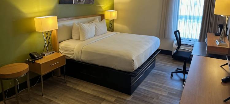 蒙哥马利东 I-240 快捷假日酒店(舒眠套房酒店孟菲斯)(Sleep Inn & Suites)图片