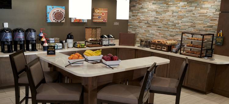 洲际酒店集团格林维尔医疗中心Staybridge Suites(Staybridge Suites GREENVILLE - MEDICAL CENTER by IHG)图片