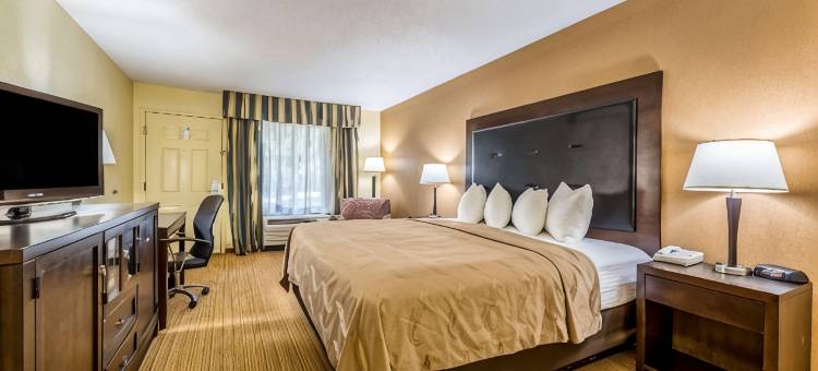 凯艺酒店-近克莱姆森大学(Quality Inn Clemson Near University)图片