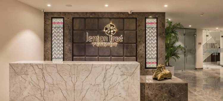 瑞诗凯诗柠檬树高级酒店(Lemon Tree Premier, Rishikesh)图片
