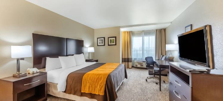 科尔顿舒适套房酒店(Comfort Inn & Suites)图片