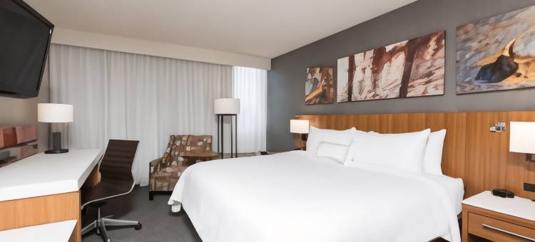 索内斯塔大急流城机场酒店(Sonesta Hotel Grand Rapids Airport)图片