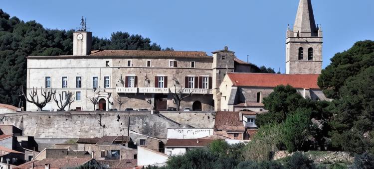 穆里尔城堡旅馆(Chateau de Murviel)图片