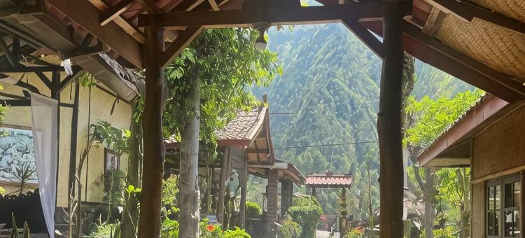 布罗莫旅游村布罗莫约斯基酒店(Yoschi's Hotel Bromo)图片