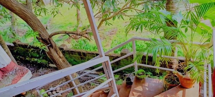 韦兰卡尼旅馆(Vailankani guest house)图片