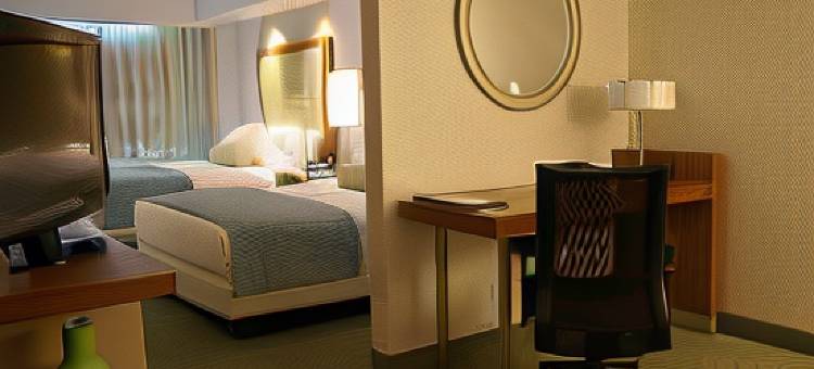 匹兹堡北岸万豪SpringHill Suites 酒店(SpringHill Suites Pittsburgh North Shore)图片