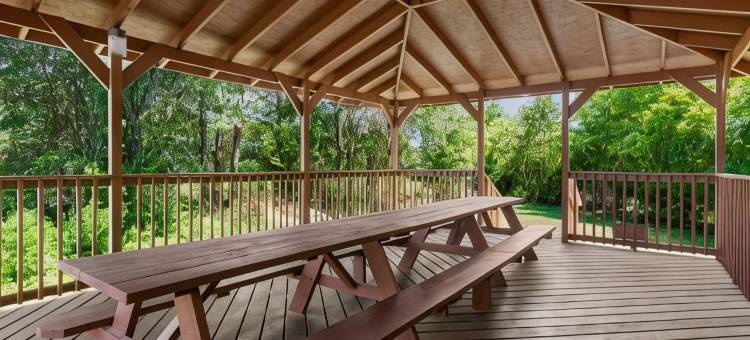 韦尔登-罗阿诺克拉皮兹戴斯酒店(Days Inn by Wyndham Weldon/Roanoke Rapids)图片