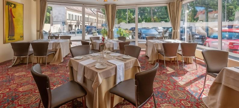 阿提斯中心酒店(Artis Centrum Hotels)图片