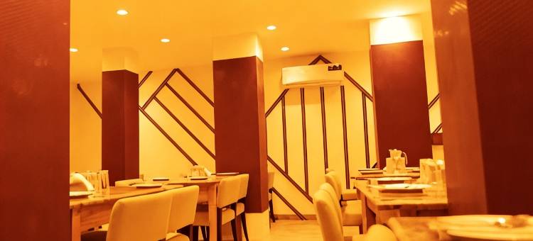 辉煌的纳特拉吉(The Flamboyant Natraj)图片