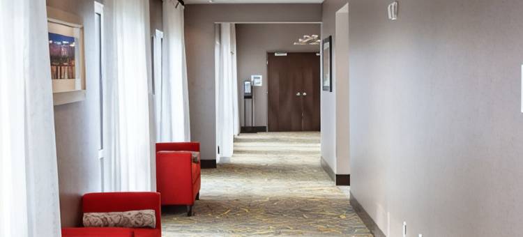 普勒萨凡纳机场假日套房酒店(Holiday Inn & Suites Savannah Airport - Pooler)图片