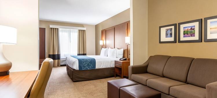 派恩布鲁夫舒适套房酒店(Comfort Inn & Suites Pine Bluff)图片