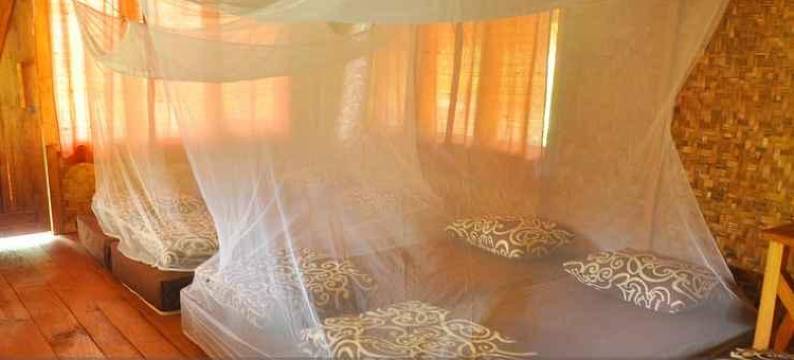 Arusliar Adventures图片