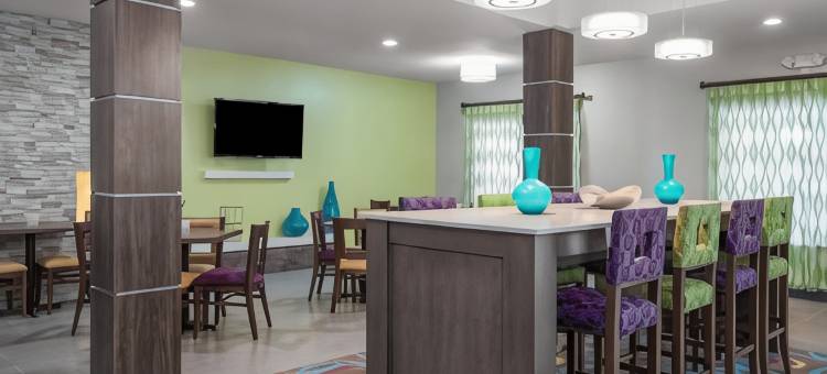 洲际酒店集团智选假日酒店及套房埃姆斯(Holiday Inn Express & Suites Ames)图片