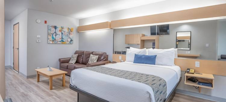 Microtel Inn & Suites by Wyndham Albertville图片