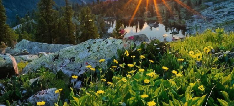 Hotel FreeRaid on 605 km Trassy M54图片