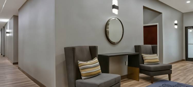 希尔顿欢朋套房酒店-达拉斯迪索托(Hampton Inn & Suites Dallas-DeSoto)图片