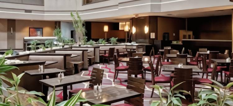 杜勒斯机场希尔顿安泊套房酒店(Embassy Suites by Hilton Dulles Airport)图片