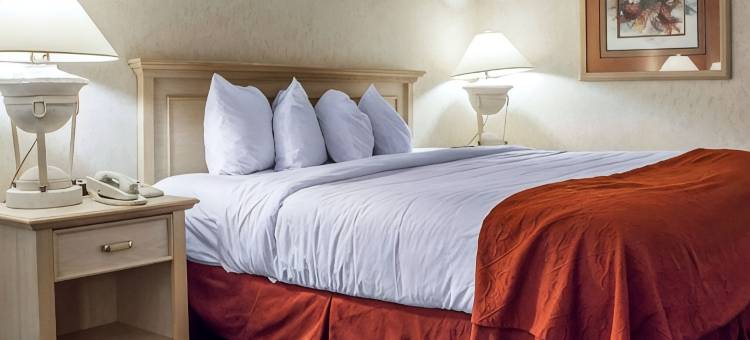 温德姆萨福德铜谷拉昆塔温德姆酒店套房(La Quinta Inn & Suites by Wyndham Safford Copper Valley)图片