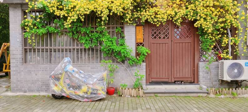 扬州闹市中爱的小屋图片