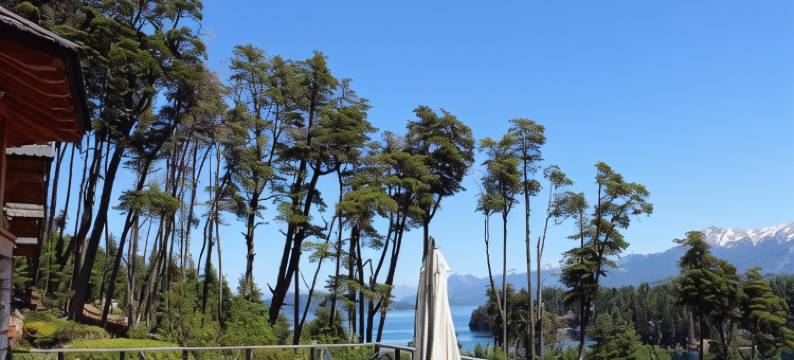 El Bosque by DOT Tradition图片