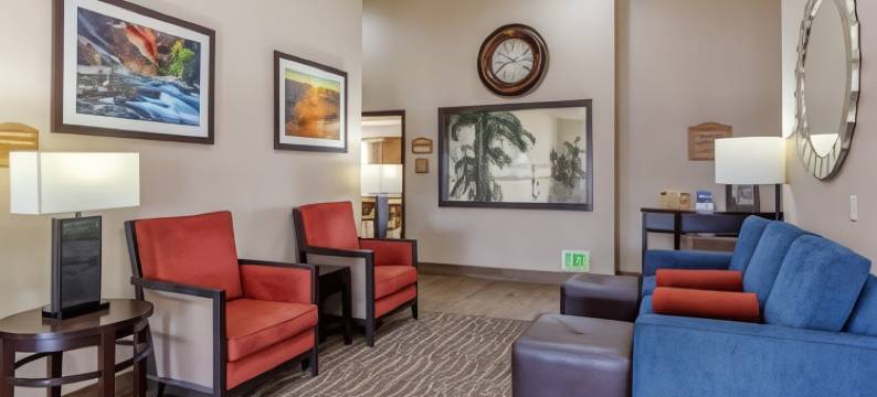 舒适套房酒店(Comfort Inn & Suites)图片