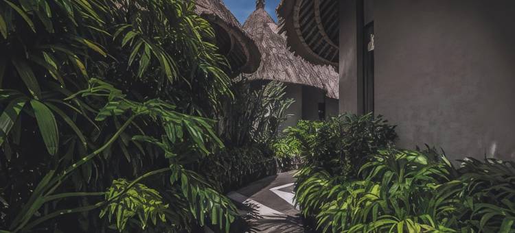 阿玛瑞亚度假村及水疗中心 乌布 由Ini Vie酒店管理(Amarea Resort Ubud by Ini VIE Hospitality)图片