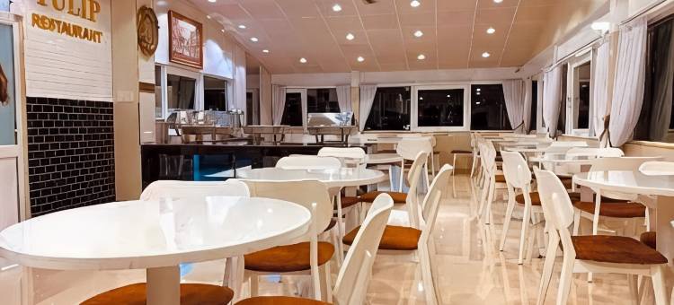 郁金香城景酒店(Tulip City View)图片
