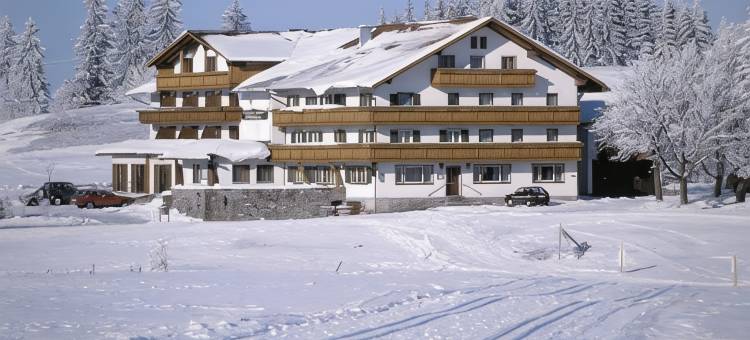 罗温 - 阿尔高家庭酒店(Familienhotel Löwen)图片