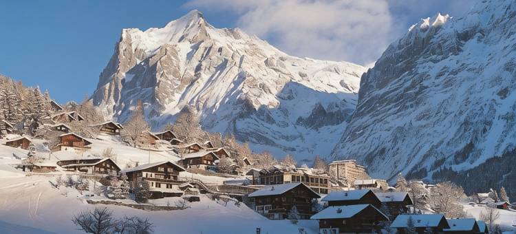 格林德瓦斯宾纳酒店(Hotel Spinne Grindelwald)图片