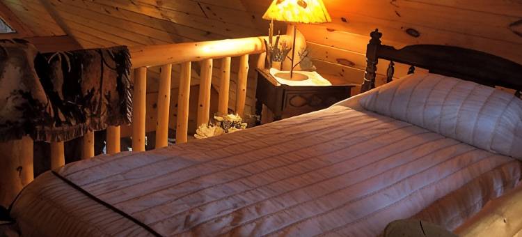 阿迪朗达克山脉温馨,僻静滨水山林小屋. 宠物友好(Cozy,secluded waterfront lodge nestled in the Adirondack Mountains. Pet friendly)图片