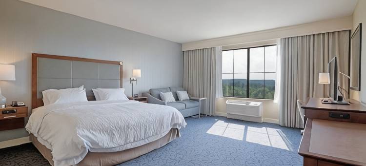 纽约卡泽诺维欢朋酒店(Hampton Inn & Suites Cazenovia)图片