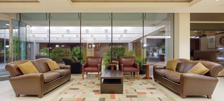 波士顿纽顿福朋喜来登酒店(Four Points by Sheraton Boston Newton)图片