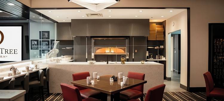 康涅狄格州布里斯托希尔顿逸林酒店(DoubleTree by Hilton Bristol)图片
