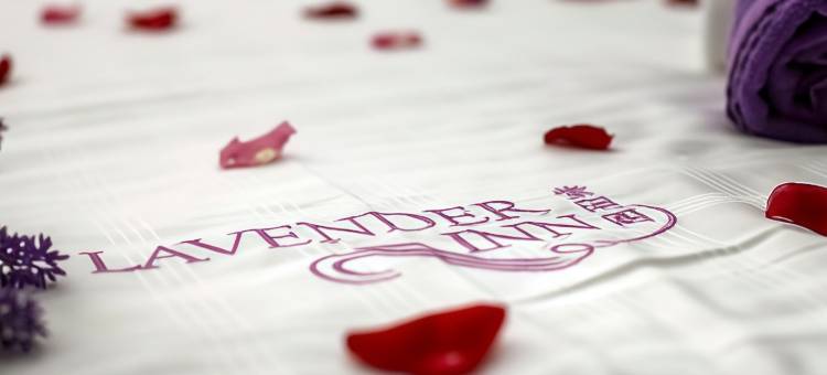 努沙贝斯塔里薰衣草旅馆(Lavender Inn Nusa Bestari)图片