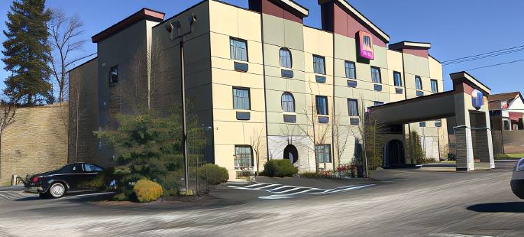 舒适套房酒店(Comfort Suites)图片