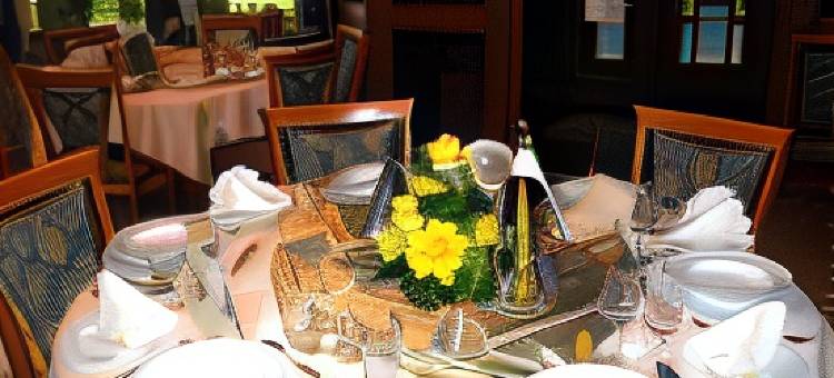 伯梅斯特酒店(Hotel-Gasthaus Burmester)图片